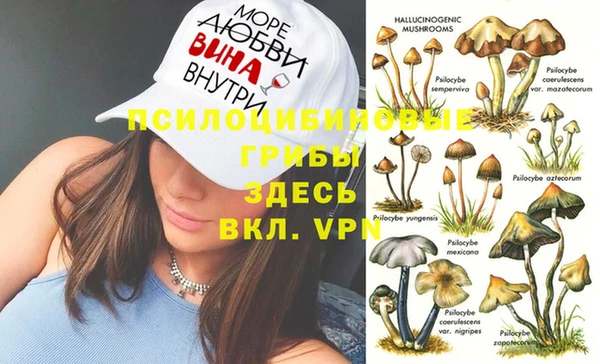 ALPHA-PVP Надым