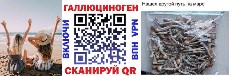 наркошоп  Нижние Серги  Галлюциногенные грибы Cubensis 